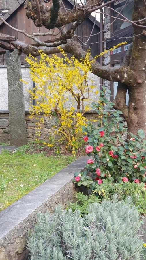 Vila Rustico Pult Someo Exteriér fotografie